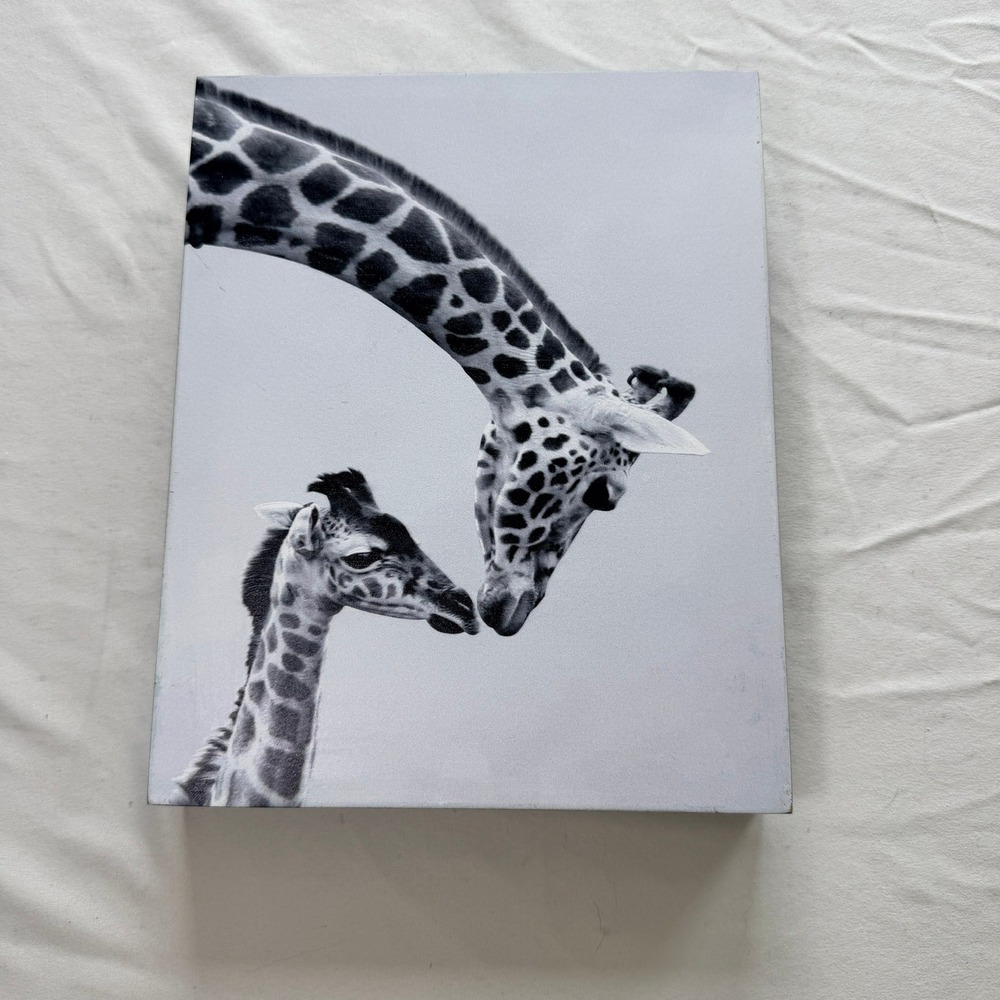 Black and White Giraffe Canvas Wall Art 8x10 Safari Nursery Decor Ready to Hang